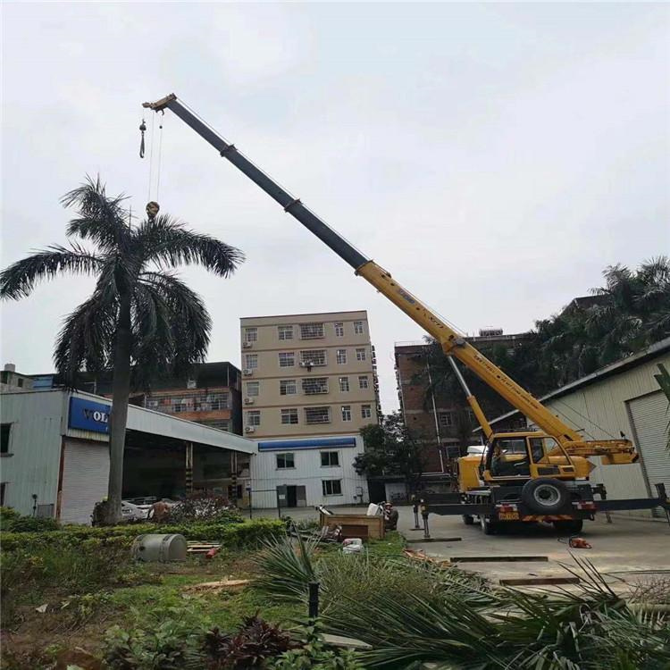 万秀吊车吊大树几种方法